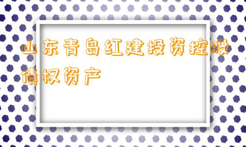 山东青岛红建投资控股债权资产