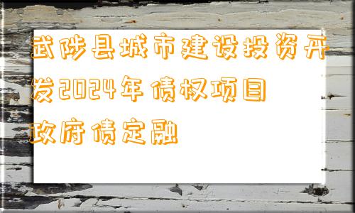 武陟县城市建设投资开发2024年债权项目政府债定融