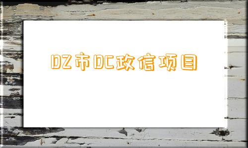 DZ市DC政信项目