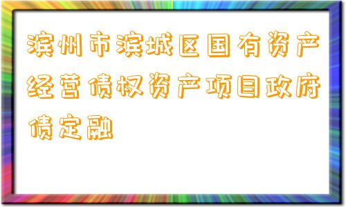 滨州市滨城区国有资产经营债权资产项目政府债定融