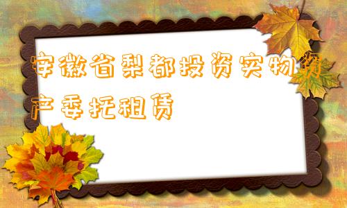 安徽省梨都投资实物资产委托租赁