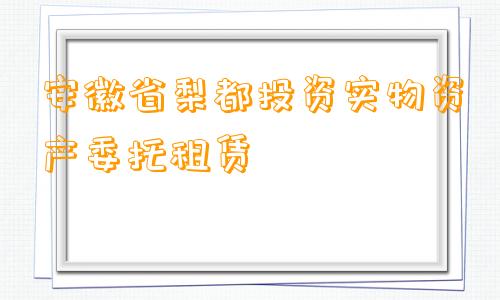 安徽省梨都投资实物资产委托租赁