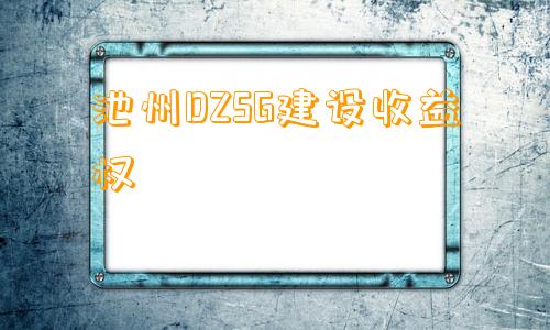 池州DZSG建设收益权