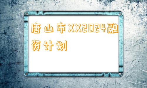 唐山市XX2024融资计划