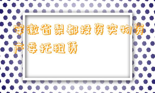 安徽省梨都投资实物资产委托租赁