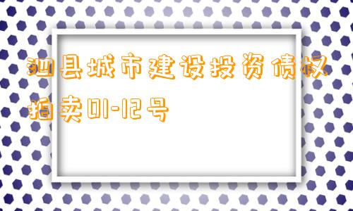 泗县城市建设投资债权拍卖01-12号