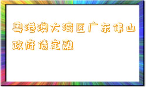 粤港澳大湾区广东佛山政府债定融