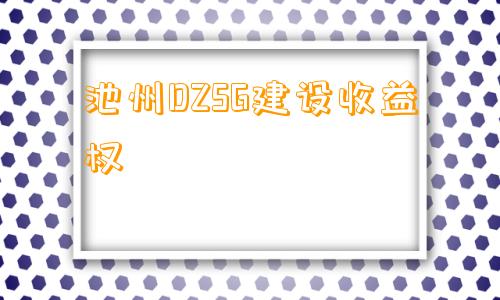 池州DZSG建设收益权