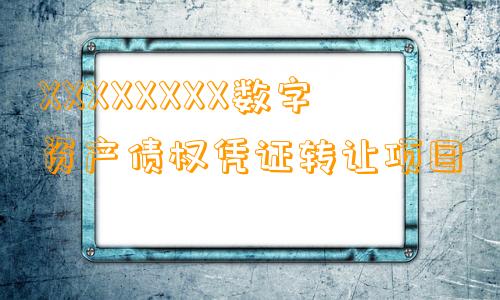 XXXXXXXX数字资产债权凭证转让项目