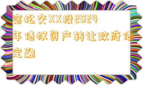 宿松交XX投2024年债权资产转让政府债定融