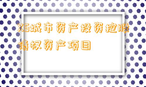 XS城市资产投资控股债权资产项目