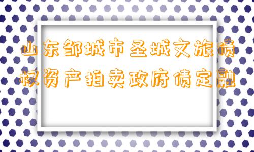 山东邹城市圣城文旅债权资产拍卖政府债定融