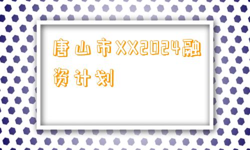 唐山市XX2024融资计划