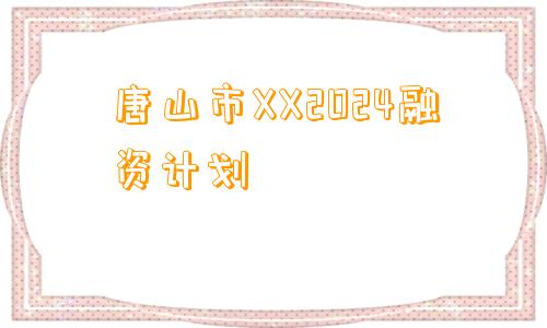 唐山市XX2024融资计划