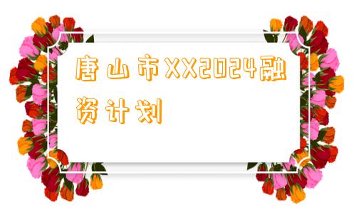 唐山市XX2024融资计划