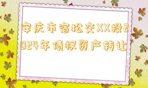 安庆市宿松交XX投2024年债权资产转让