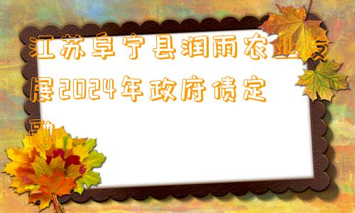 江苏阜宁县润雨农业发展2024年政府债定融