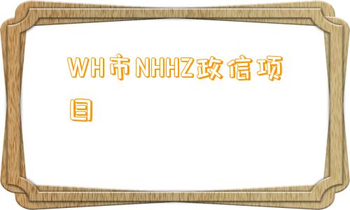 WH市NHHZ政信项目