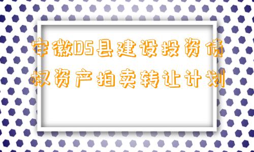 安徽DS县建设投资债权资产拍卖转让计划