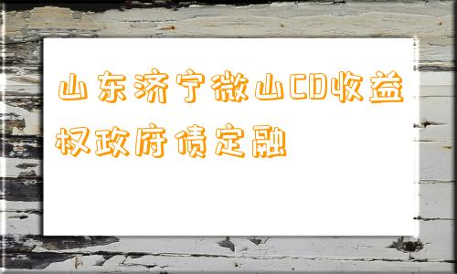 山东济宁微山CD收益权政府债定融