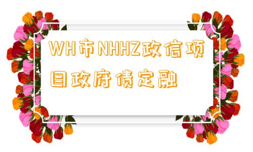 WH市NHHZ政信项目政府债定融