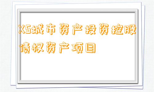 XS城市资产投资控股债权资产项目