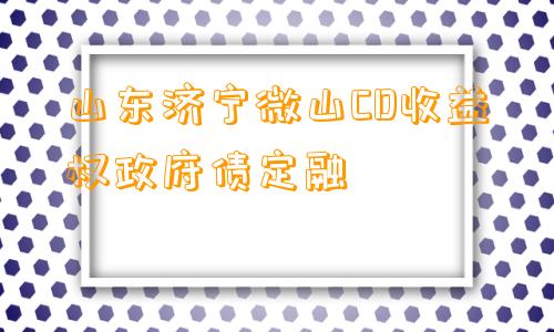 山东济宁微山CD收益权政府债定融