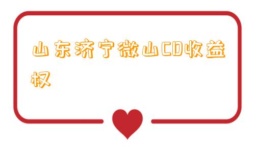 山东济宁微山CD收益权