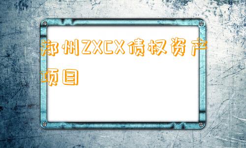 郑州ZXCX债权资产项目