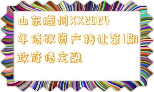 山东滕州XX2024年债权资产转让第1期政府债定融