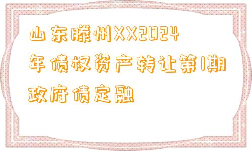 山东滕州XX2024年债权资产转让第1期政府债定融