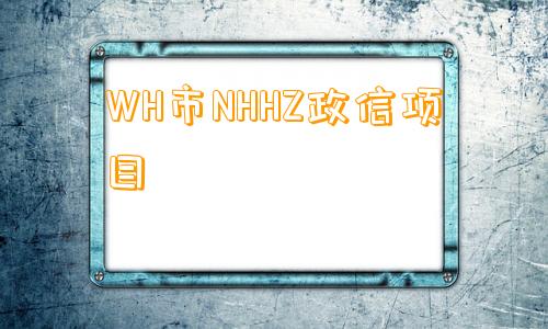 WH市NHHZ政信项目