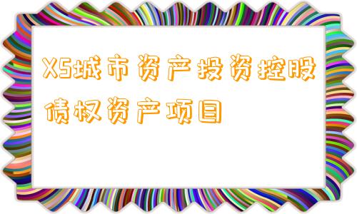 XS城市资产投资控股债权资产项目