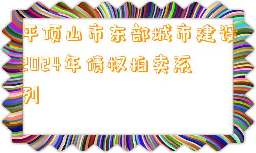 平顶山市东部城市建设2024年债权拍卖系列