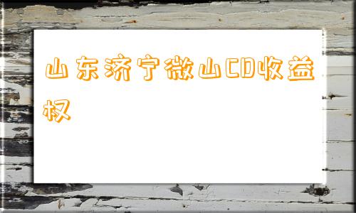 山东济宁微山CD收益权