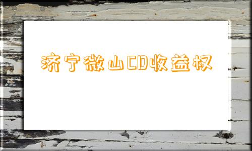 济宁微山CD收益权