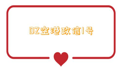 DZ空港政信1号