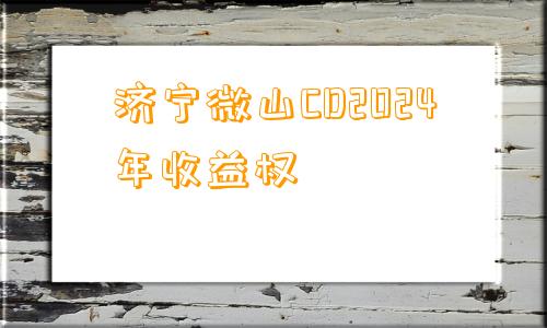 济宁微山CD2024年收益权