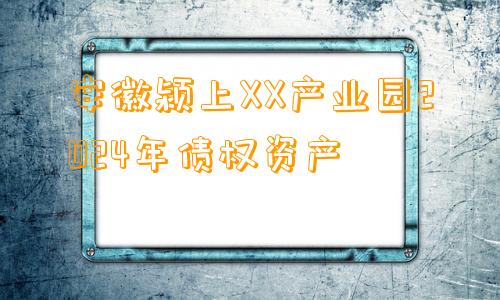 安徽颍上XX产业园2024年债权资产