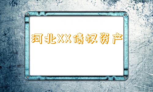 河北XX债权资产