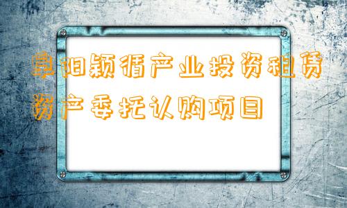 阜阳颖循产业投资租赁资产委托认购项目