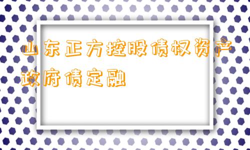 山东正方控股债权资产政府债定融