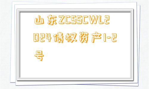 山东ZCSSCWL2024债权资产1-2号