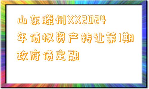 山东滕州XX2024年债权资产转让第1期政府债定融