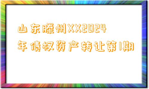 山东滕州XX2024年债权资产转让第1期