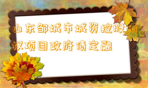 山东邹城市城资控股债权项目政府债定融