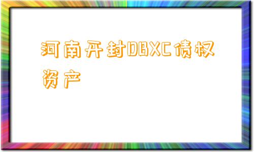 河南开封DBXC债权资产