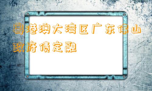 粤港澳大湾区广东佛山政府债定融