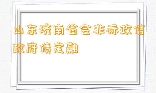 山东济南省会非标政信政府债定融