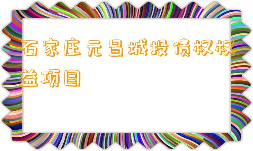 石家庄元昌城投债权权益项目